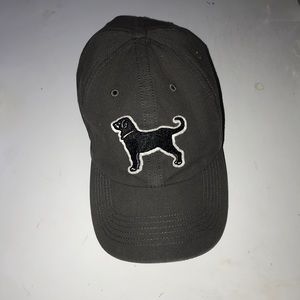 Black Dog Baseball Hat